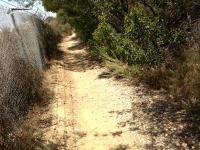 Nike Site #29 Whittier Hills 