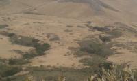 Cerro San Luis 