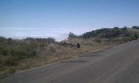 Romero Road 