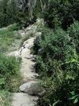 Tahoe Rim Trail:  Kingsbury South To Armstrong Pass 