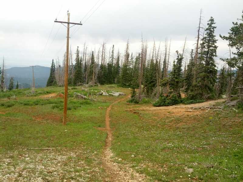 Blowhard Photo SINGLETRACKS COM