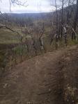 Sugarite Canyon State Park 
