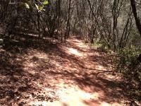 Hidden Falls Regional Park 