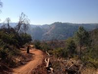 American River Confluence Trails 