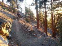 Genoa loop 