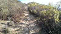 Madonna Mountain: Rock Garden 