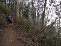 Mount Sutro Historic Trail 