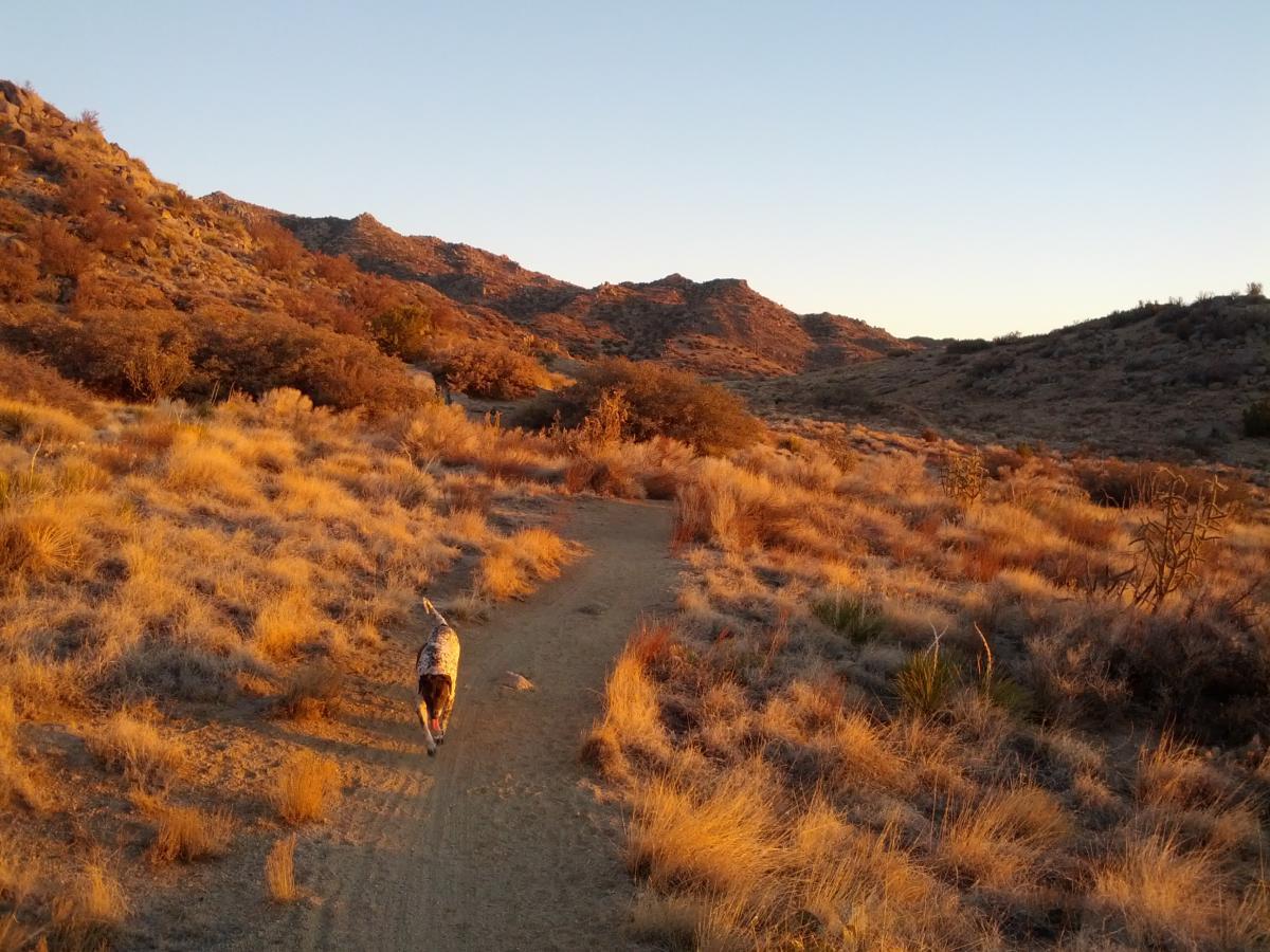 Foothills Mountain Bike Trail in Albuquerque, New Mexico
