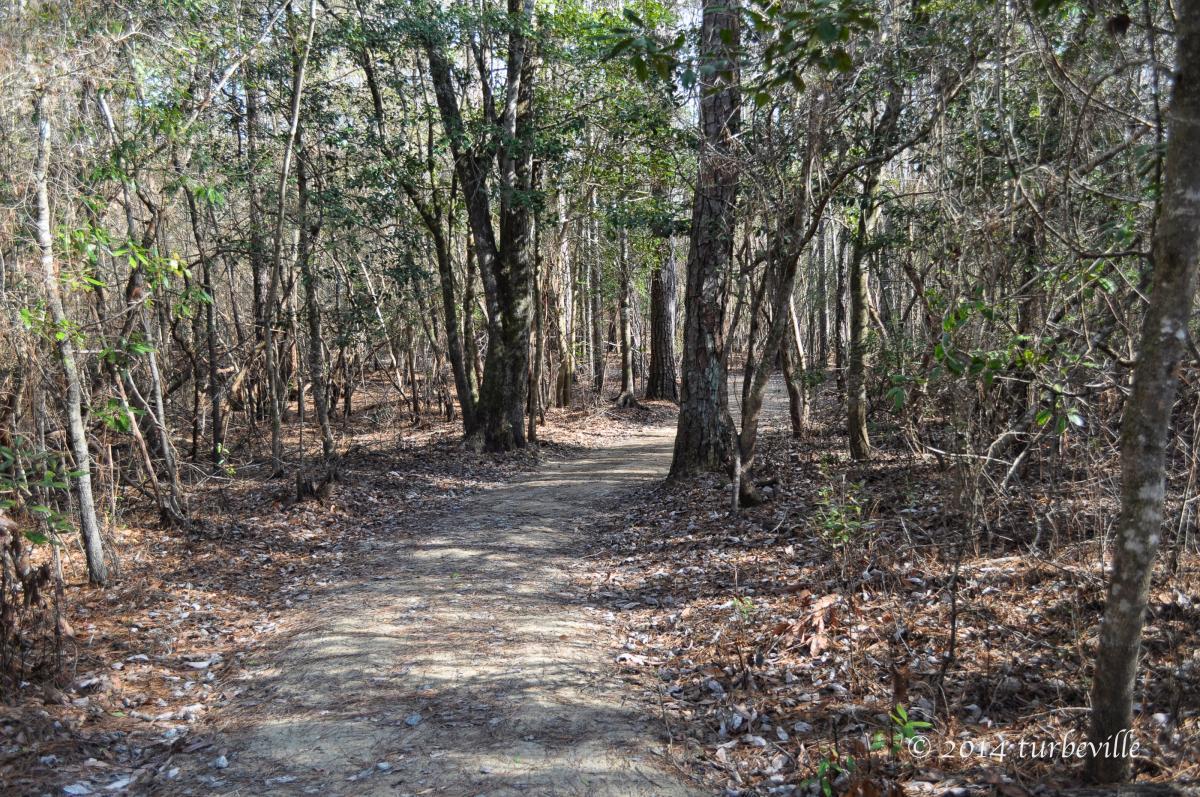 Jackson Bluff Trail System photo