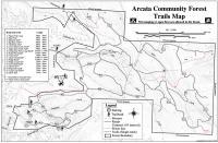 Arcata Community Forest 