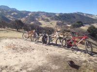 Contra Loma Regional Park 
