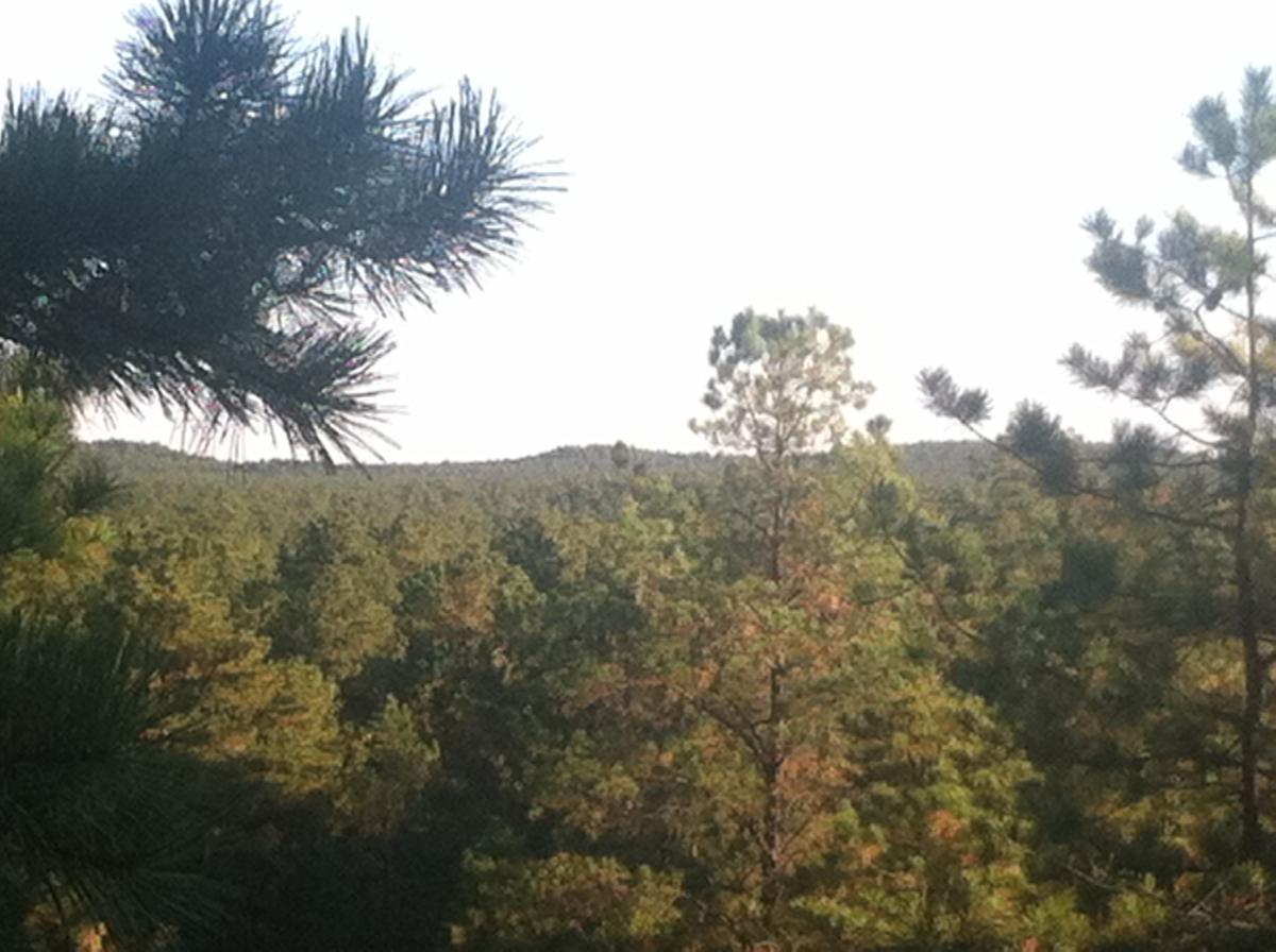 Forked River Mountain photo