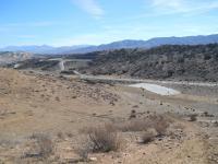 Joshua Ranch Trails 