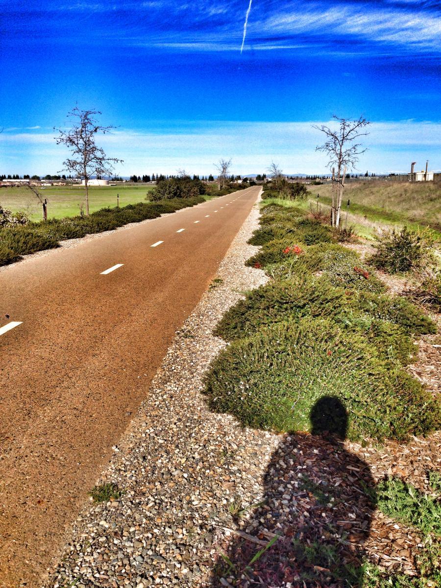 stone creek trail mix