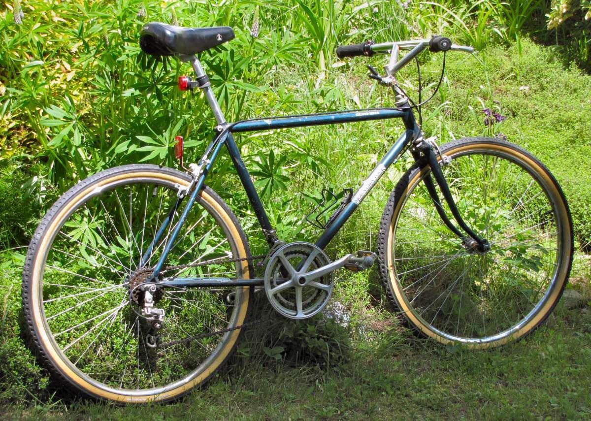 raleigh 29in mxr mountain bicycle