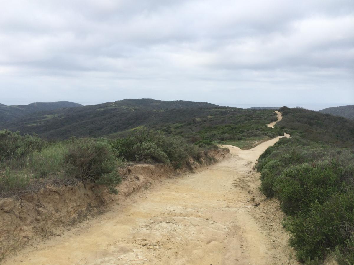 El Moro Canyon Mountain Bike Trail in Laguna Beach, California