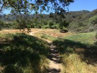 Aliso and Wood Canyons Wilderness Park 