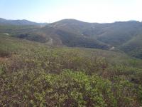 Rancho La Costa 