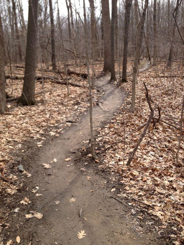 river bends mountain bike trail