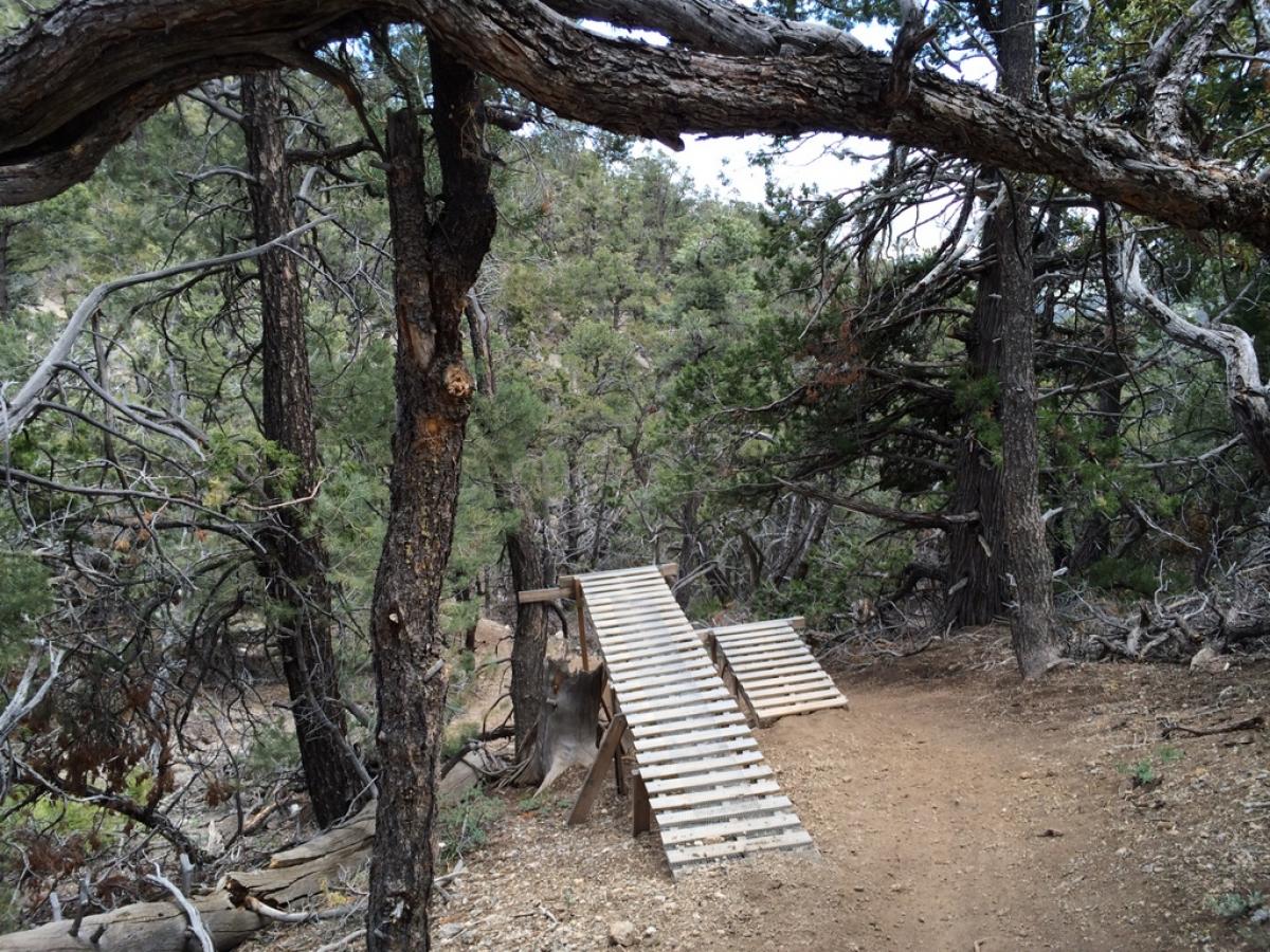 Tin Can Alley Mountain Bike Trail in Las Vegas, Nevada