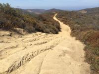 Laguna Coast Wilderness Park 