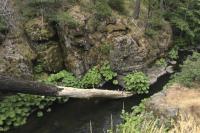 Cabin Creek 