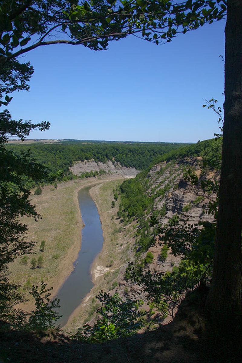 Finger Lakes Trail Mt. Morris/letchworth State Park photo