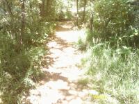 Banker's Lunch Loop 