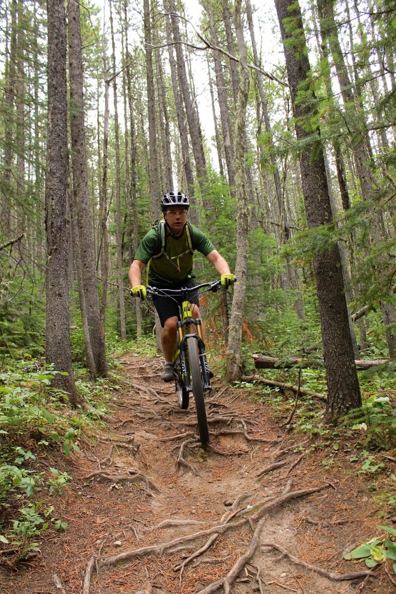 Prairie View Mountain Bike Trail in Canmore, Alberta