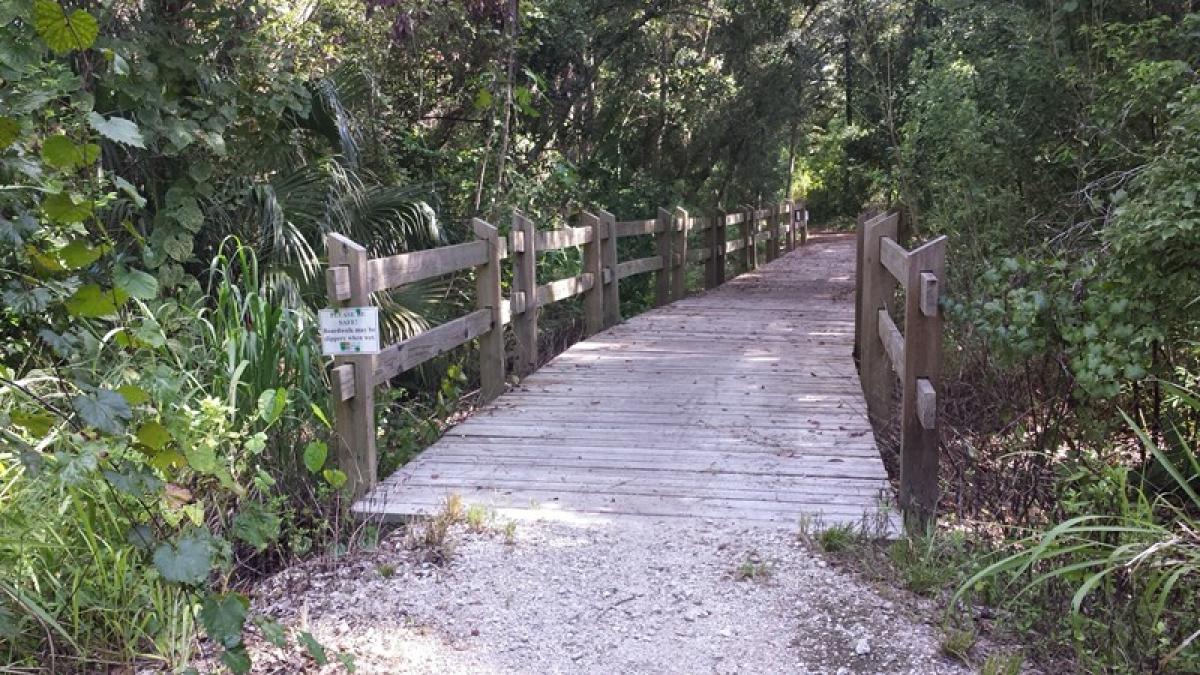 Mount Dora Trail photo
