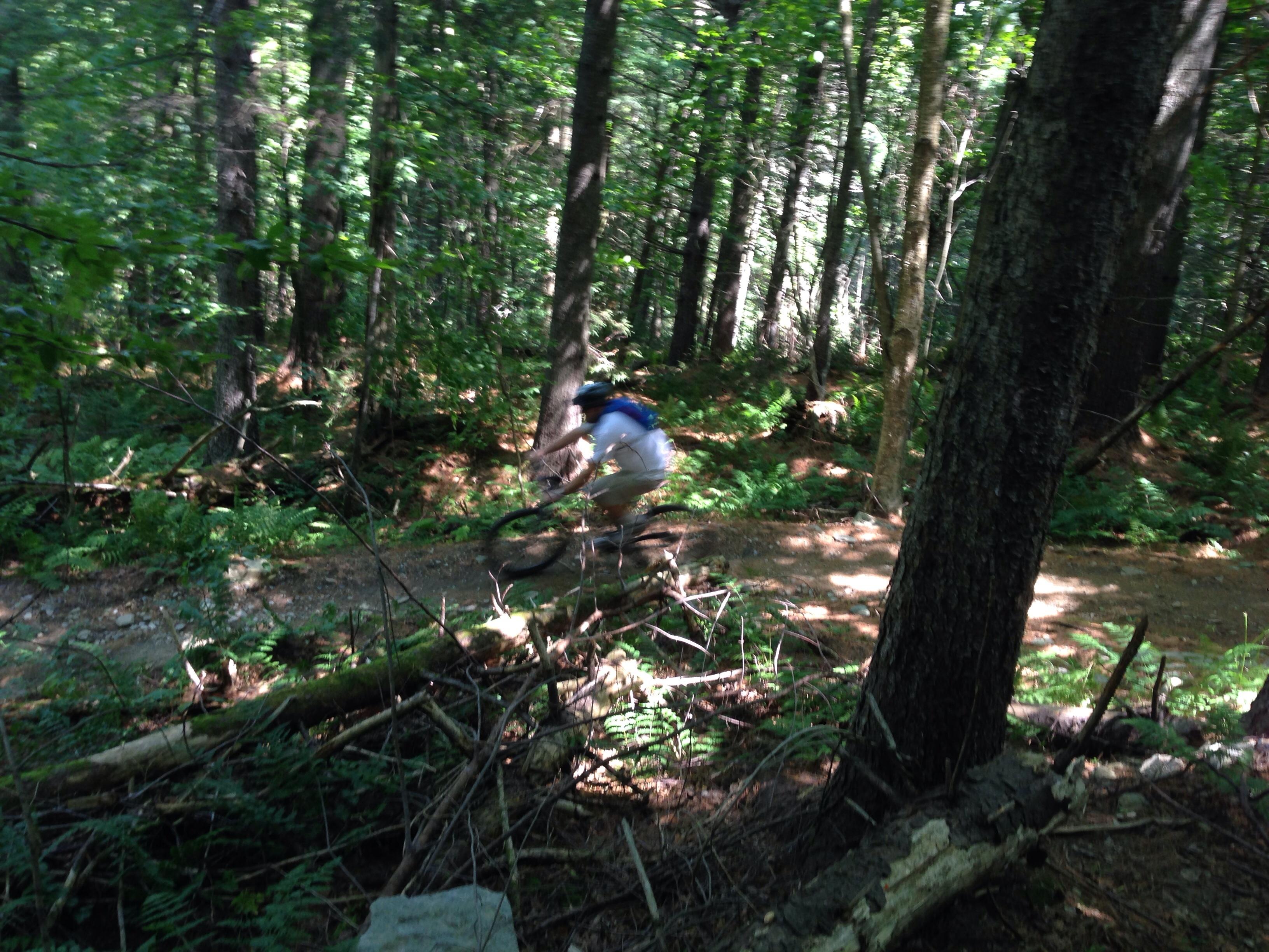 Blueberry Lake Trails photo