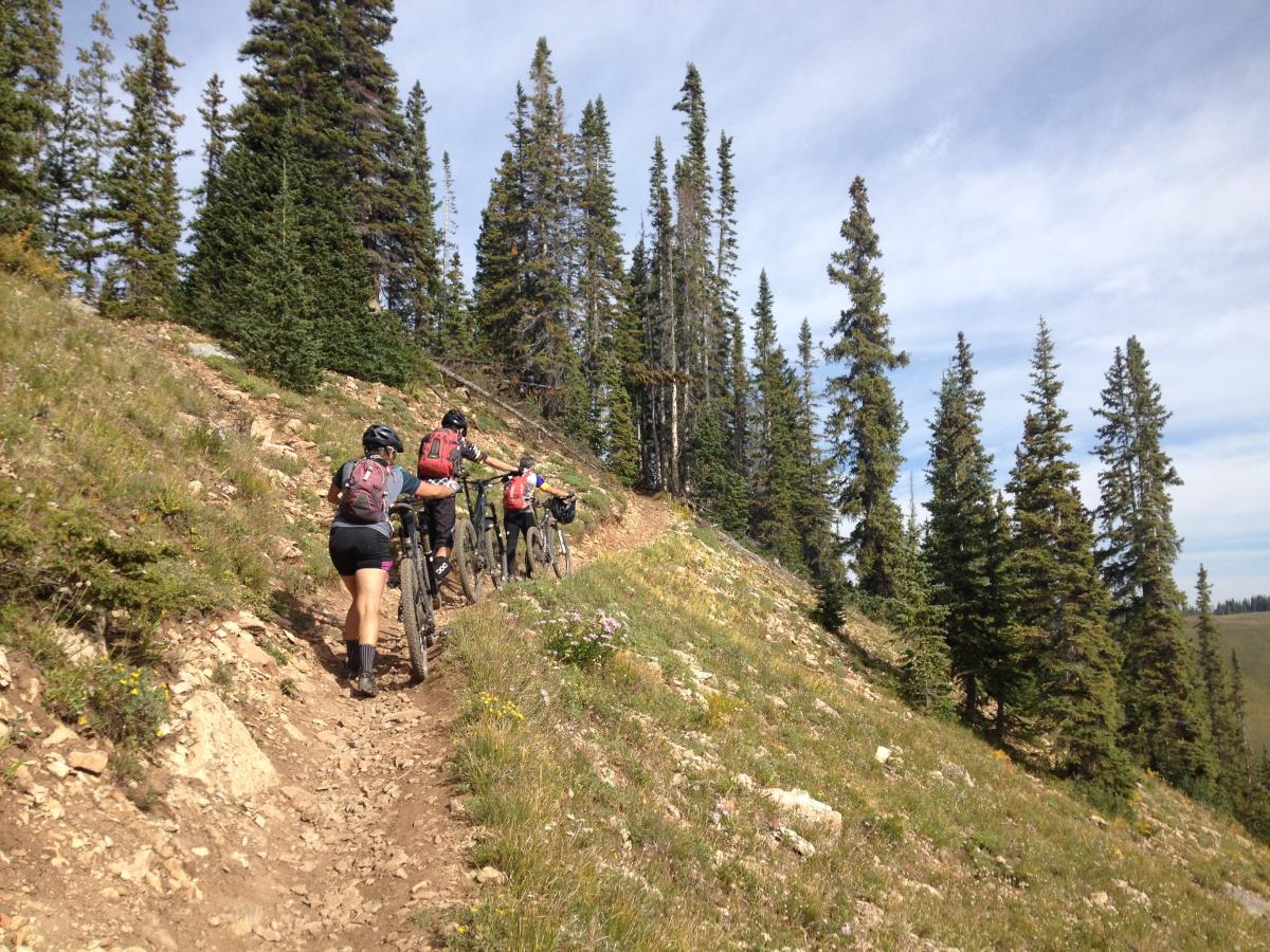 Cement Mountain Trail / 553 Mountain Bike Trail in Crested Butte
