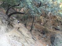 Chantry Flats 