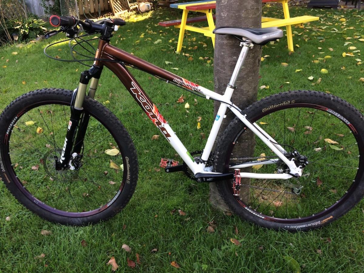 Kona Big Kahuna photo