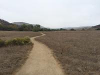 Bommer Meadow 