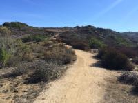 Turtle Ridge Singletrack 