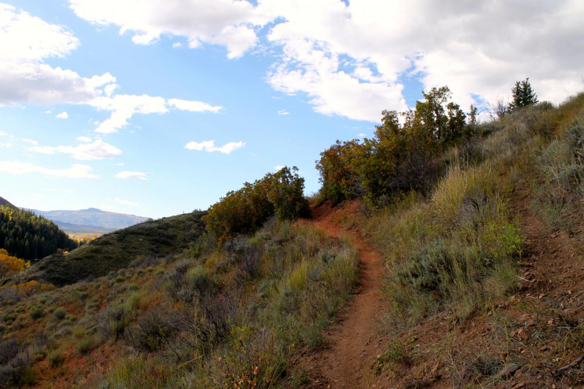 Red Dirt Trail Mountain Bike Trail in Steamboat Springs, Colorado