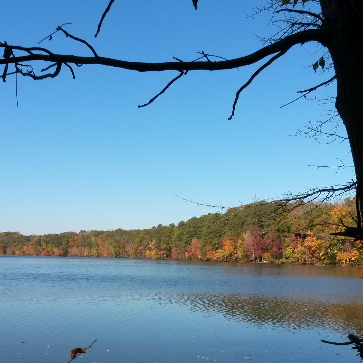 Pocahontas State Park photo