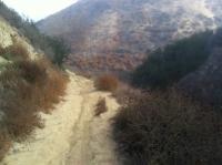 Lopez Canyon Trail 