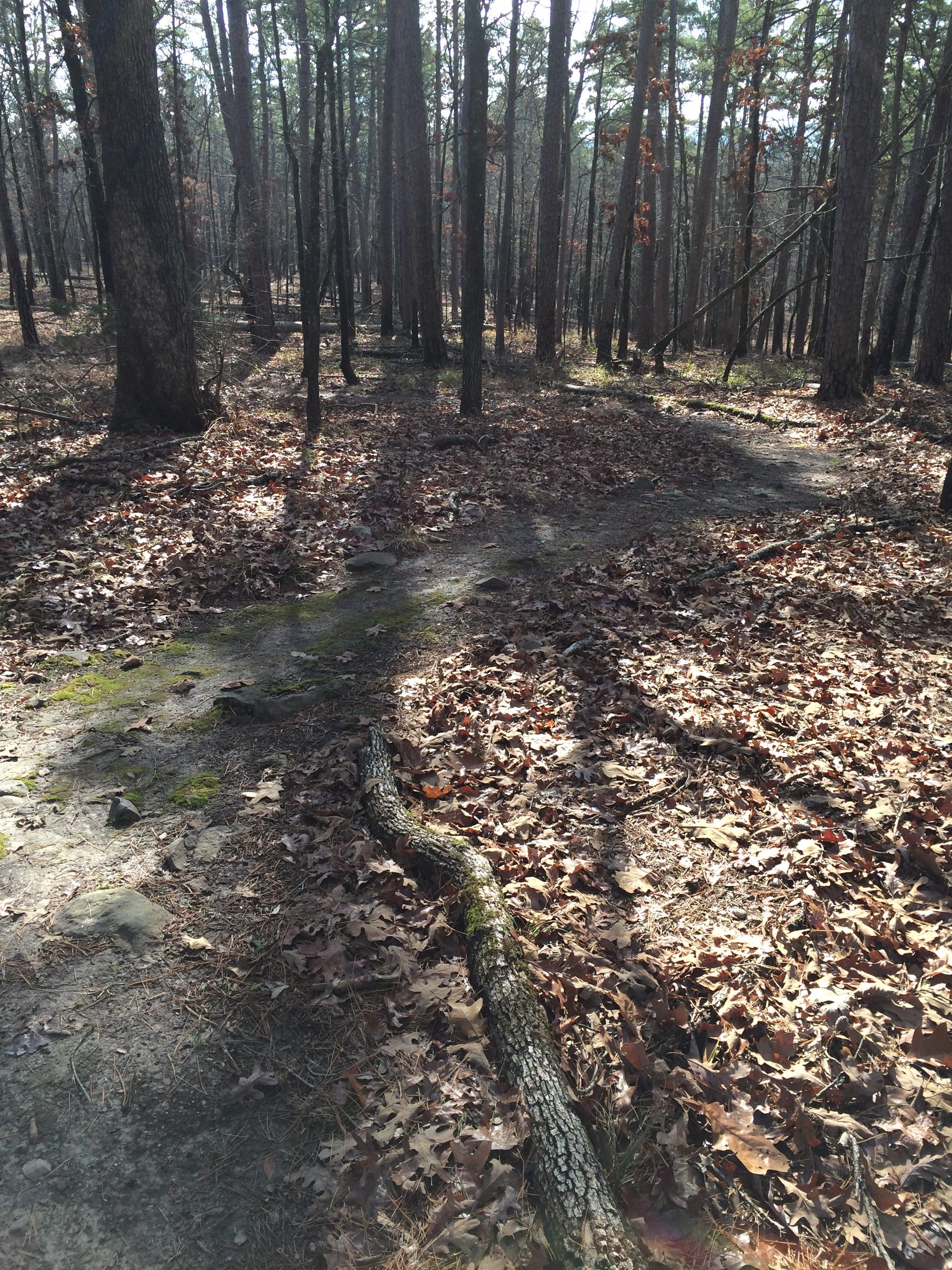 Rabbit Ridge Trail photo