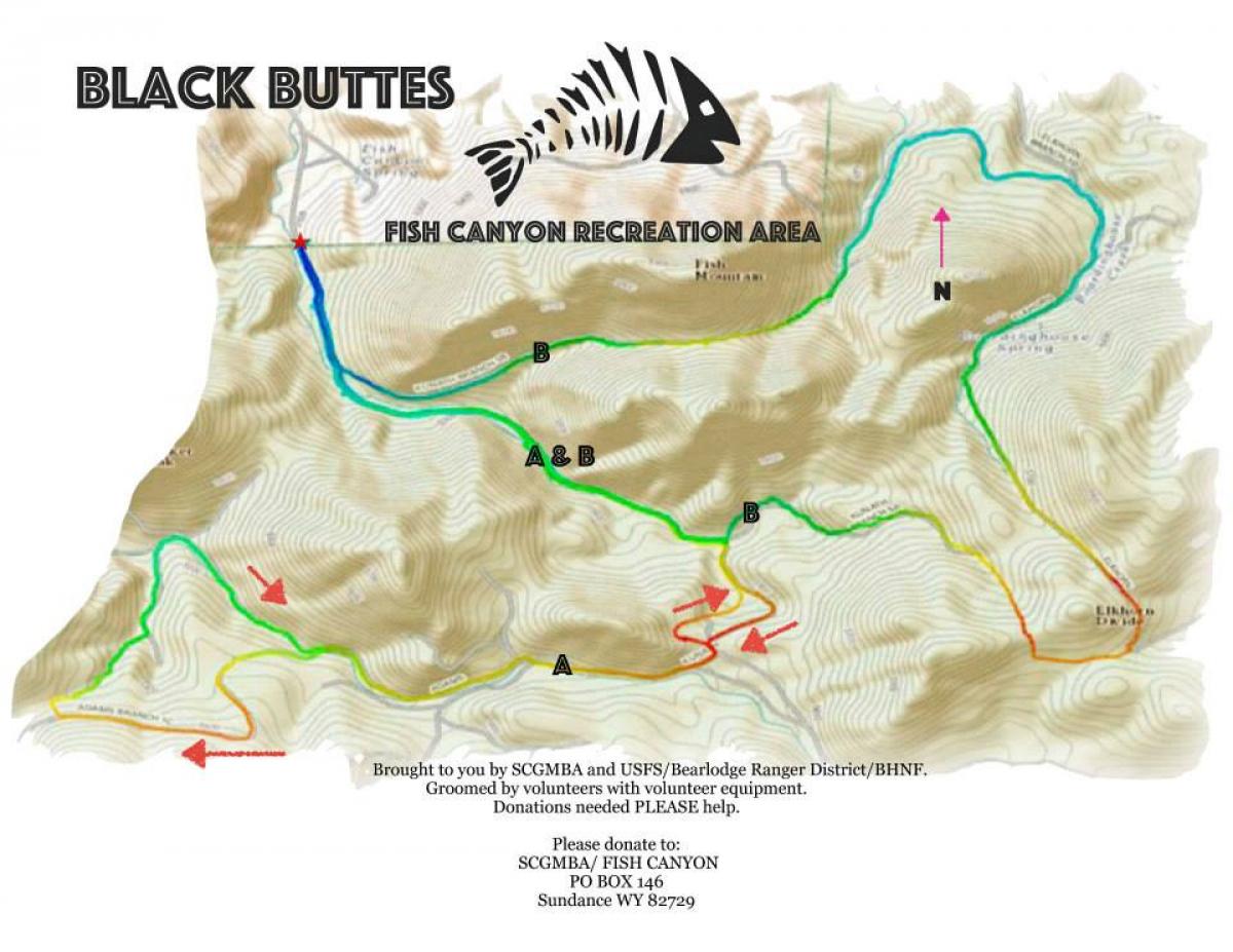 Fish Canyon Recreation Area Mountain Bike Trail in Sundance, Wyoming