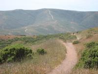 Marin Headlands 