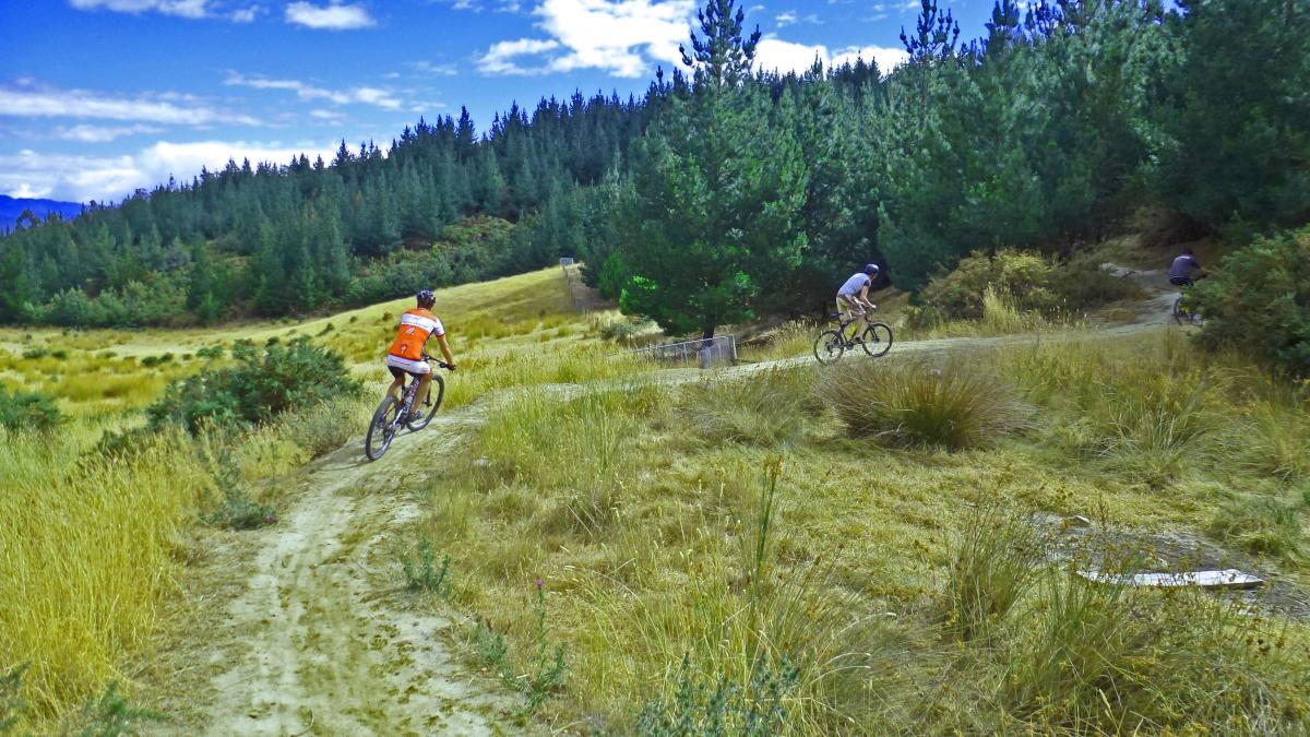 Wither Hills Mountain Bike Park Mountain Bike Trail in Blenheim, New Zealand