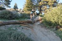 Idyllwild Park 