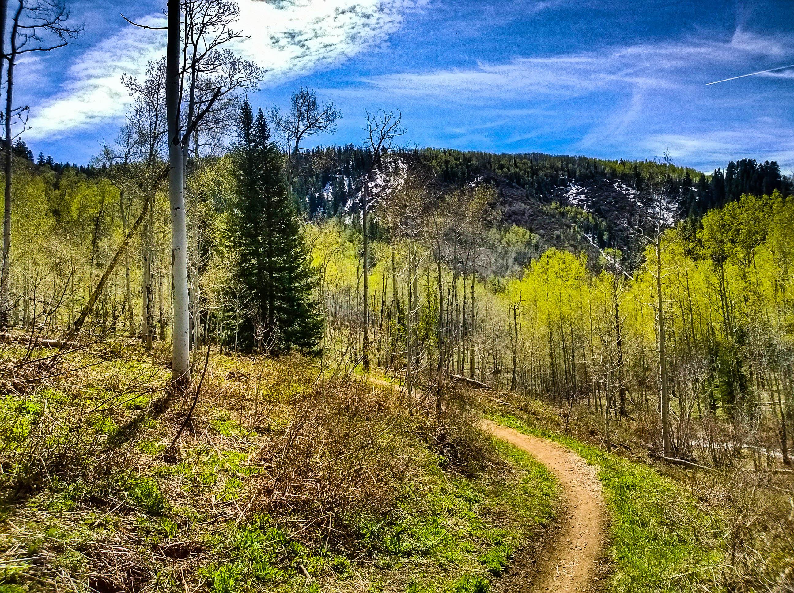 Spring Creek Trail photo