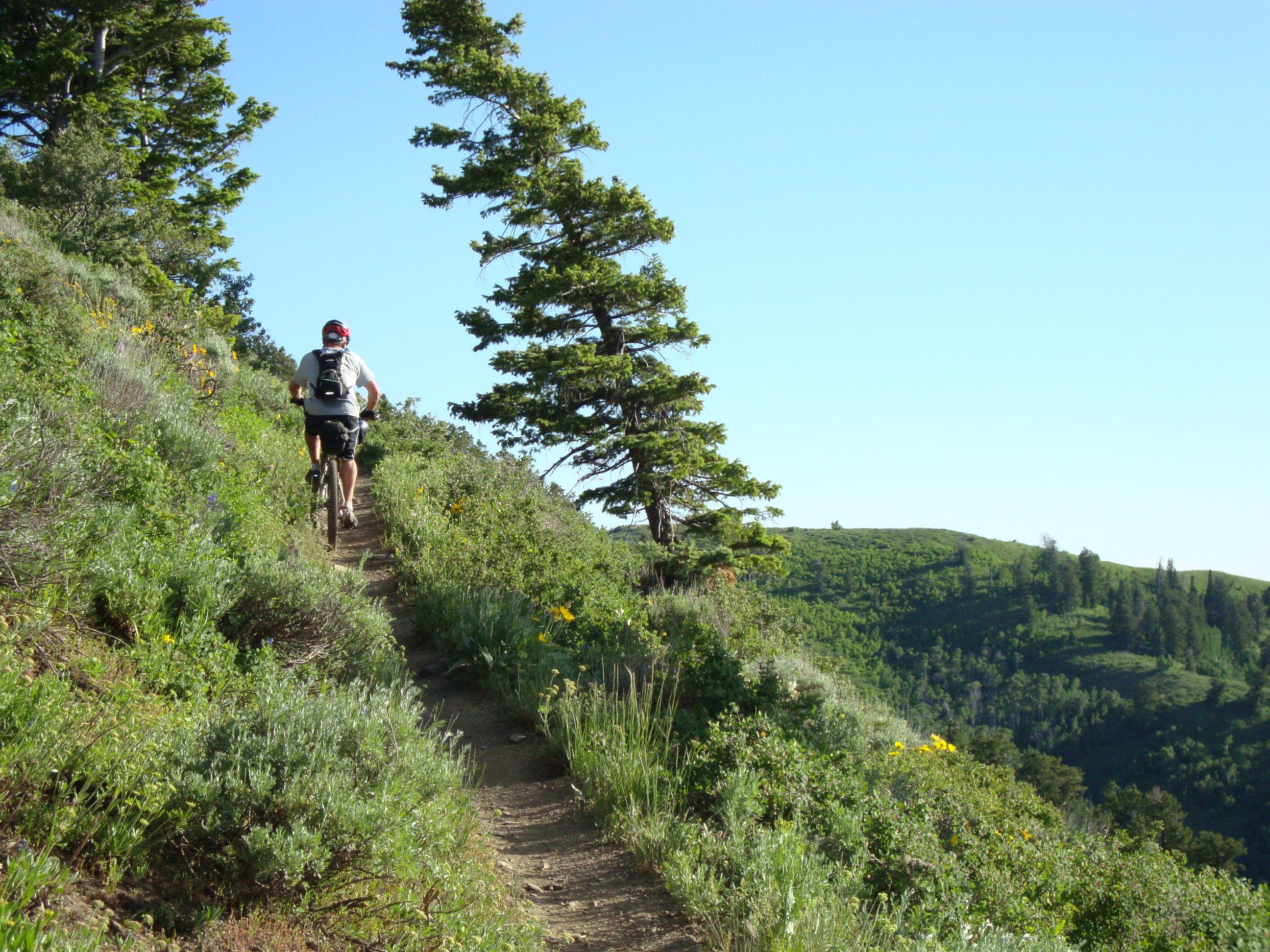 Bonneville Shoreline Trail Ogden Section photo