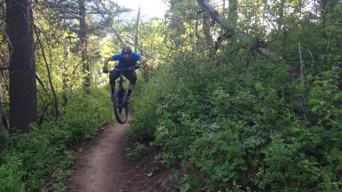 Rush Hour Mountain Bike Trail in Victor, Idaho