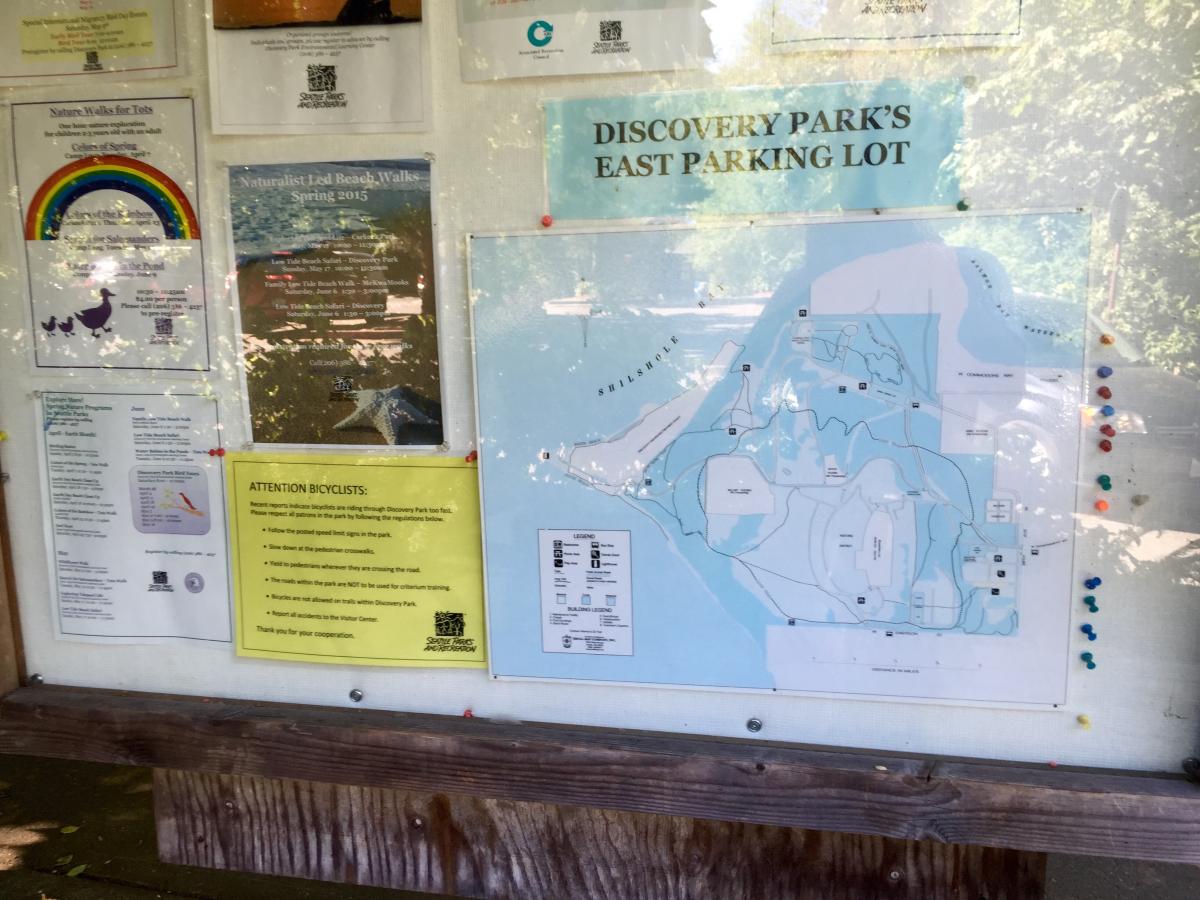 Discovery Park Mountain Bike Trail - DiscoveryPark3