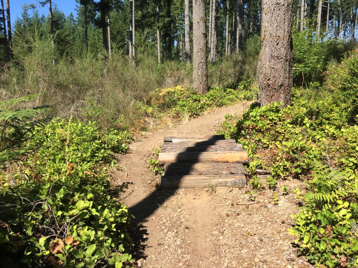 360 Mountain Bike Trail in Gig Harbor, Washington