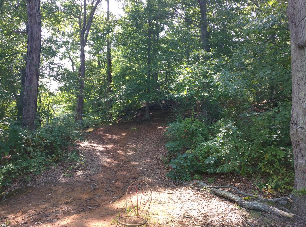 Rancocas Woods photo